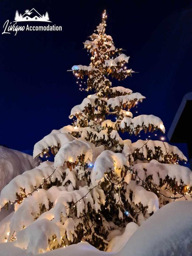 Alpen Royal By Livigno Accomodation エクステリア 写真
